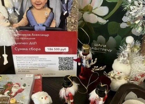 Новогодняя ярмарка Лицея 65 собрала 213 856 рублей для подопечного фонда.